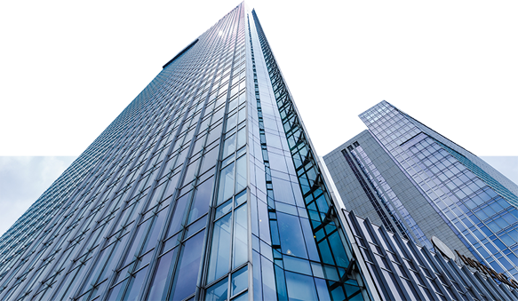 Descripción de la imagen